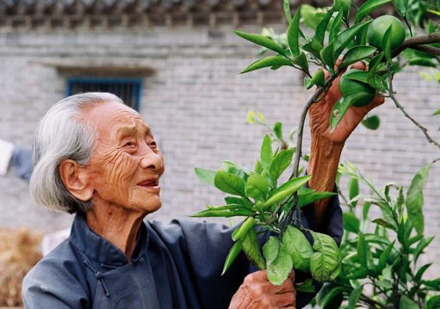 長壽的人有哪些特點？年紀(jì)大了如何養(yǎng)生？