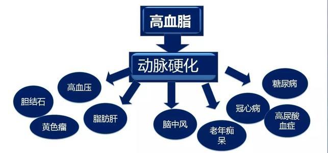 高血脂一般會產(chǎn)生什么樣的危害呢？高血脂有什么危害？